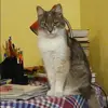 Отзыв от Мария Зверева